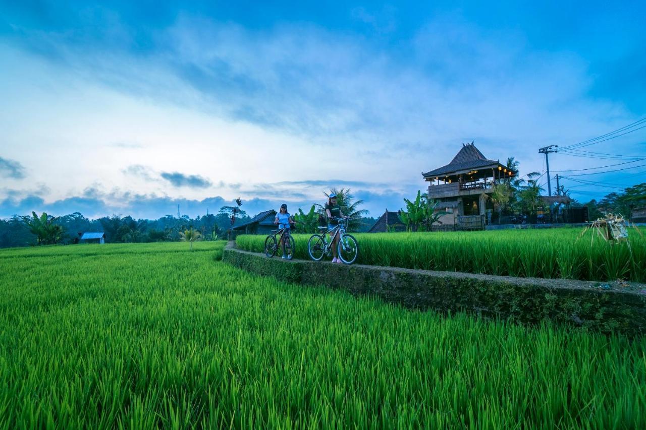 Umah Hoshi By Mahaputra Hotel Tegallalang  Luaran gambar